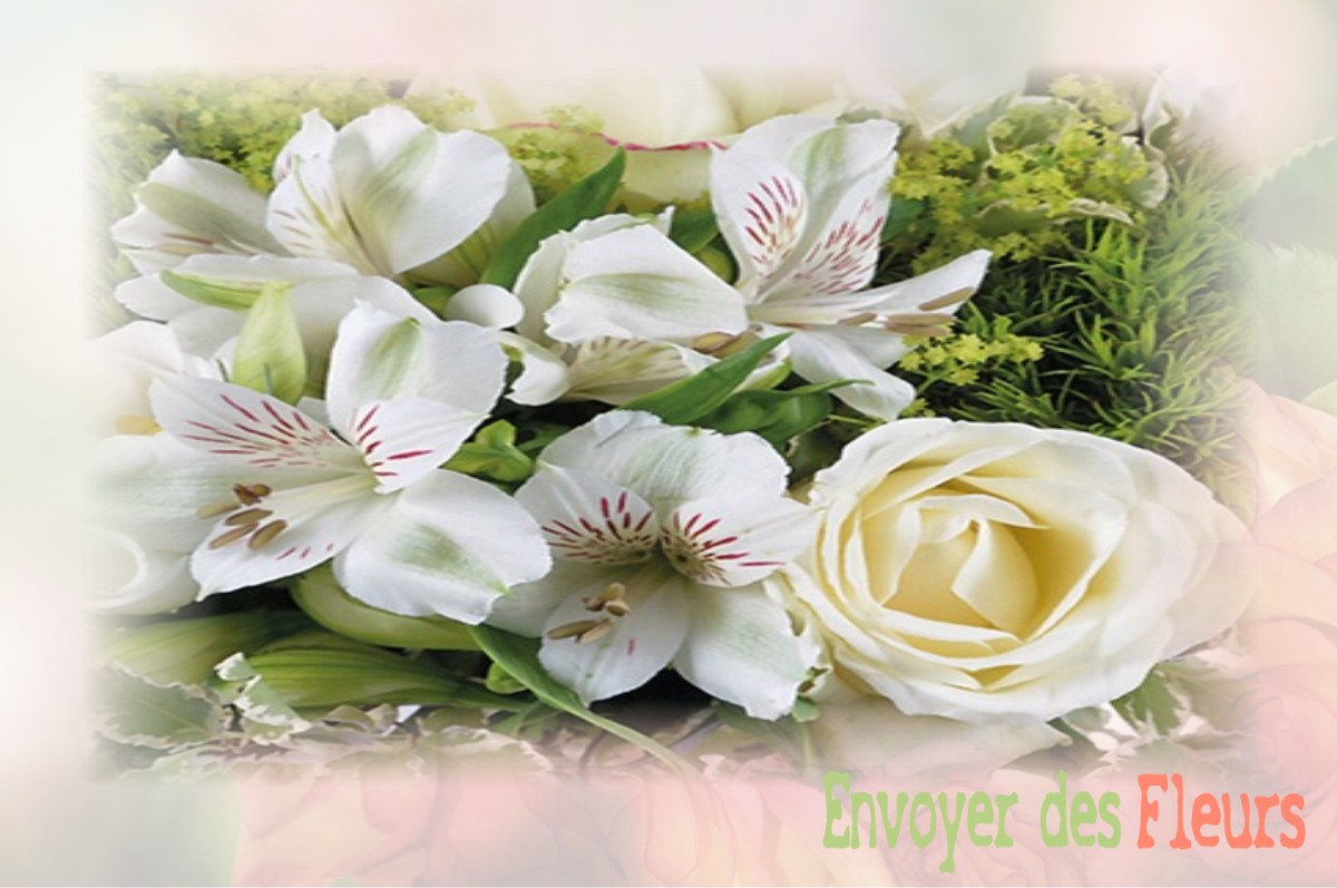 envoyer des fleurs à à SAINT-LUBIN-DES-JONCHERETS