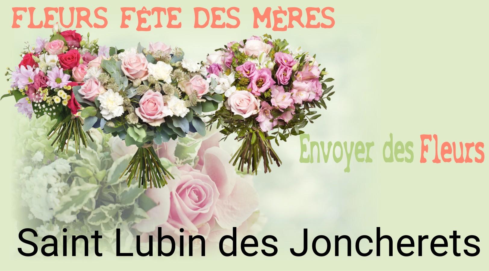 Bouquet de Fête des Mères livré à Saint-Lubin-des-Joncherets